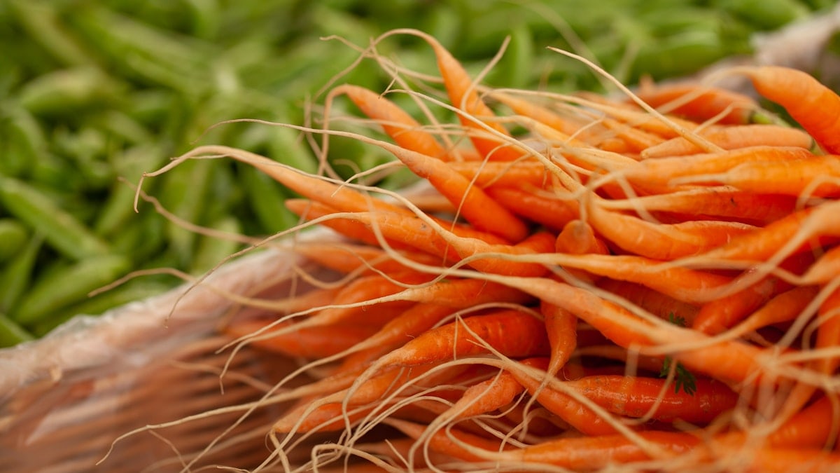 Organic carrots at farmers market.